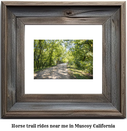 horse trail rides near me in Muscoy, California